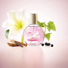 Vanderbilt- Minuit à New York Women Perfume عطر نسائي فاندربيلت, حمل الصورة الى البوم الصور