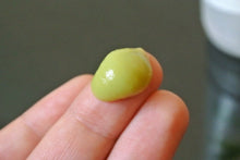 St.Ives Black Head Clearing مقشر لإزالة الروؤس السوداء بالشاي الأخضر ستيفس, حمل الصورة الى البوم الصور