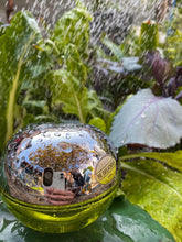 Load image into Gallery viewer, DKNY- Be Delicious Perfume for Her عطر نسائي بي دلشيز دكني