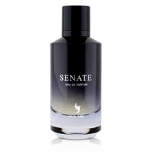 Load image into Gallery viewer, Volare- Senate Men Perfume عطر رجالي سينايت فولاري
